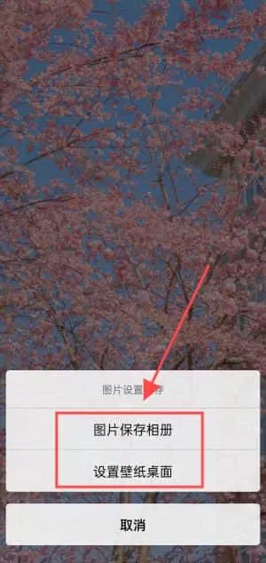 壁纸图片大全