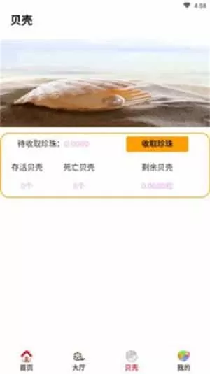 贝壳影视