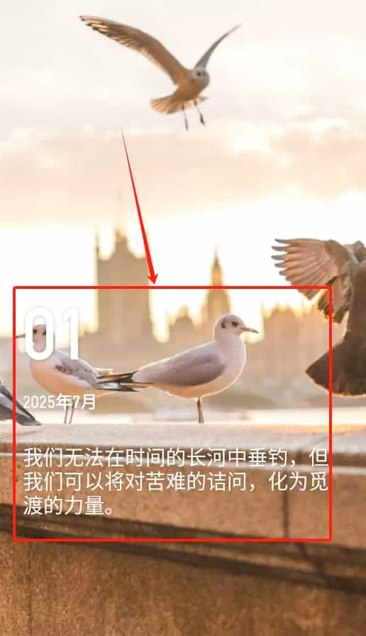 标准天气预报