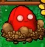 PVZ杂交版坚果保龄球