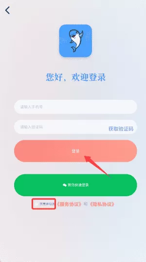 白海豚咨询师