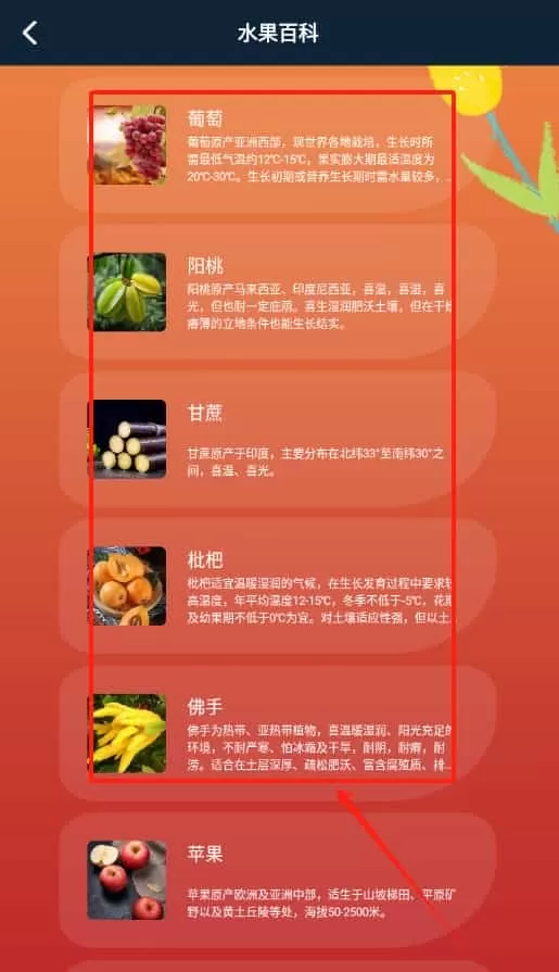 plantae植物识别