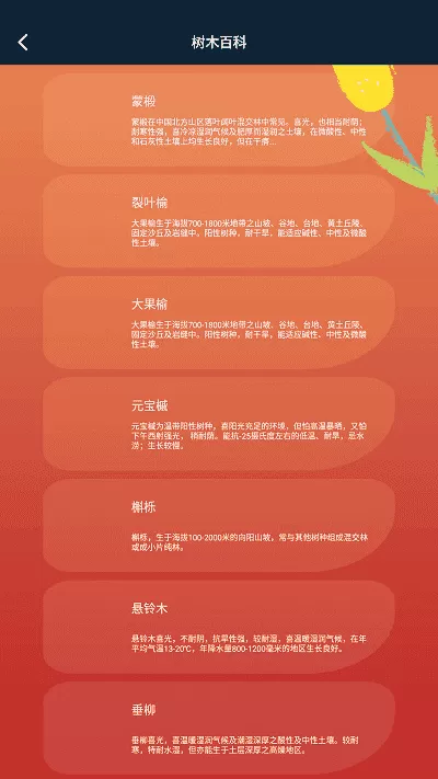 plantae植物识别