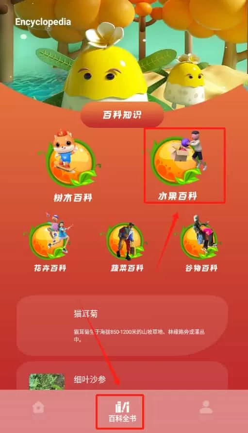 plantae植物识别