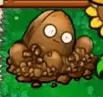 PVZ杂交版坚果保龄球