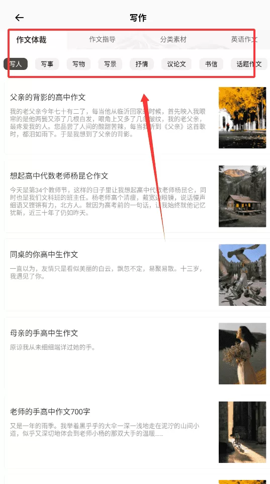 deep写作与翻译