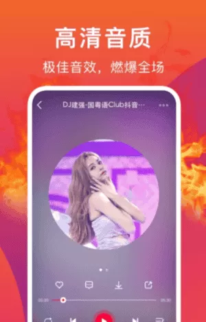 DJ秀车载