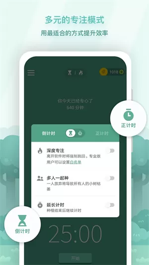 forest专注森林