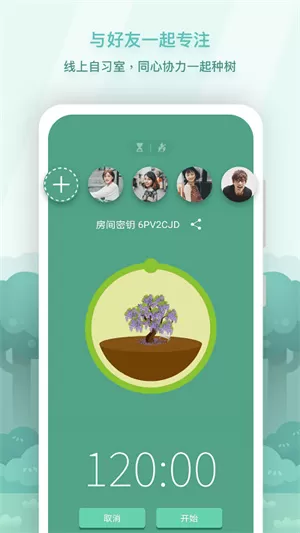 forest专注森林