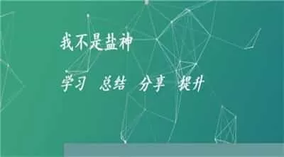 我不是盐神小说