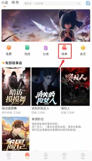 有部小说