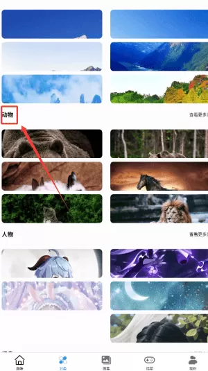 悟饭wellpaper