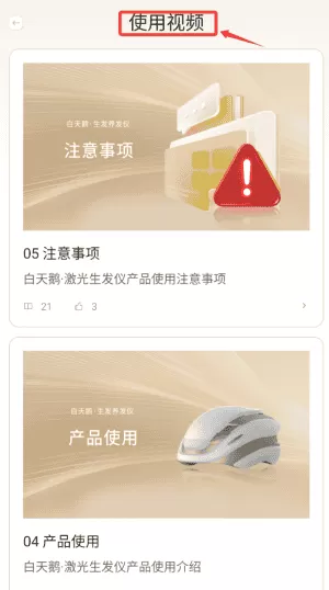 白天鹅