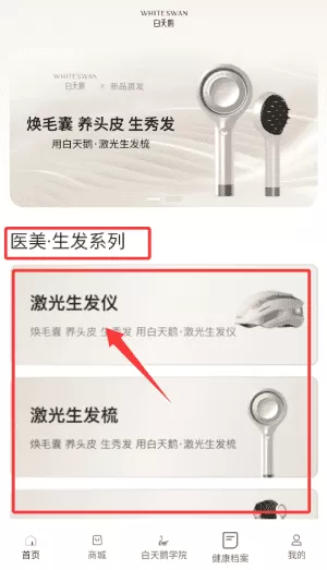 白天鹅