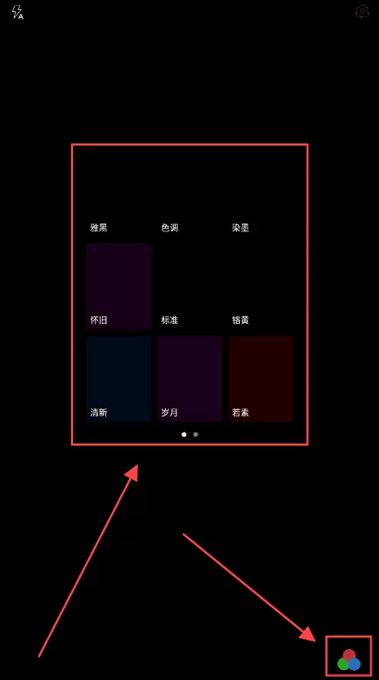 PhotoViva