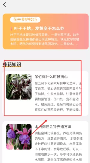 百花悦看