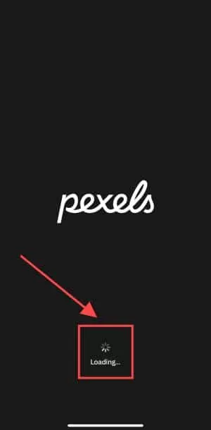pexels免费素材网