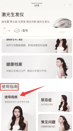 白天鹅