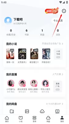 UC浏览器(提供流畅体验)