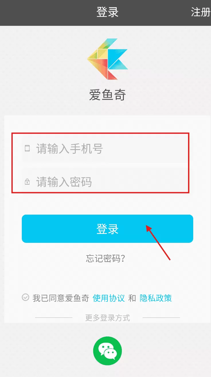 爱鱼奇