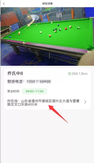 纯鱼台球