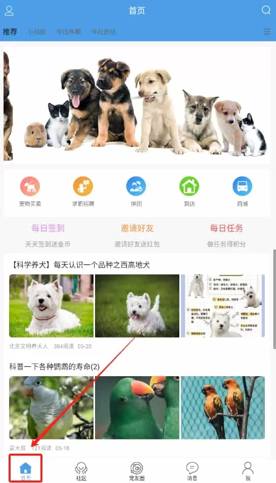 宠物之家宠物店