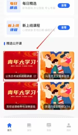 多面鹅