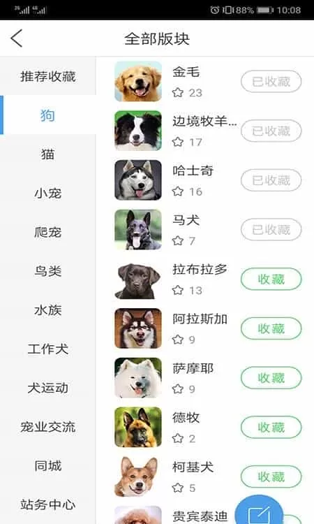 宠物之家宠物店