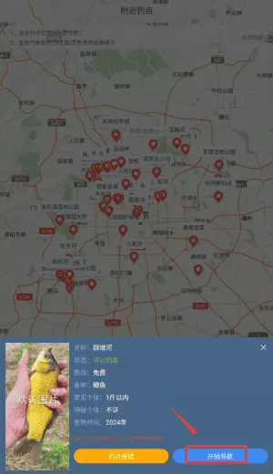 鱼情预报