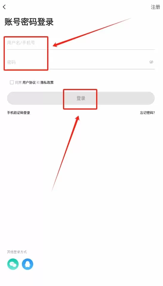 宠物之家宠物店