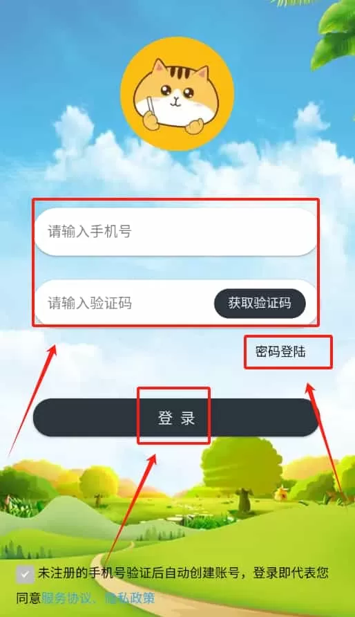 黑板猫校园
