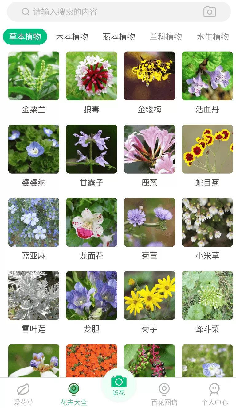 花草识别