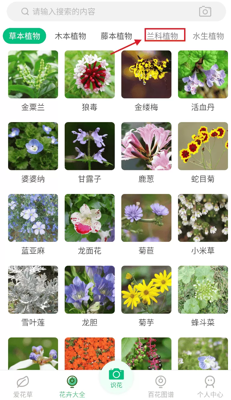 花草识别