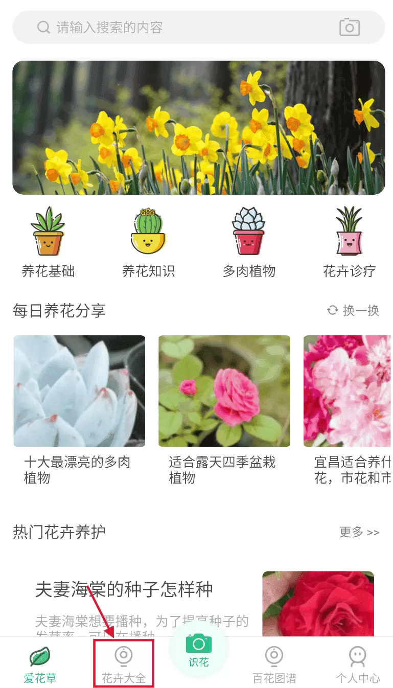 花草识别