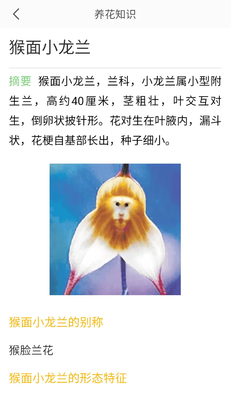 花草识别