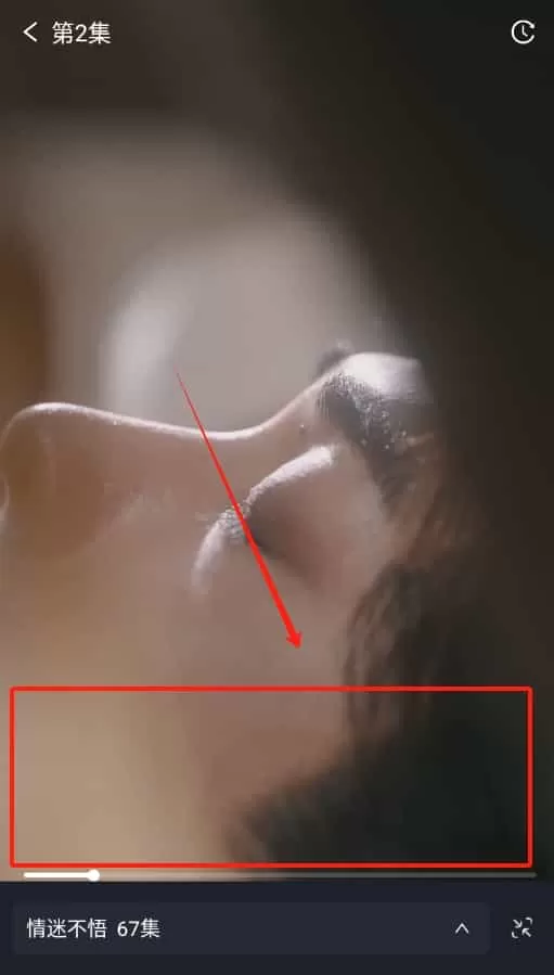 蚂蚁看看