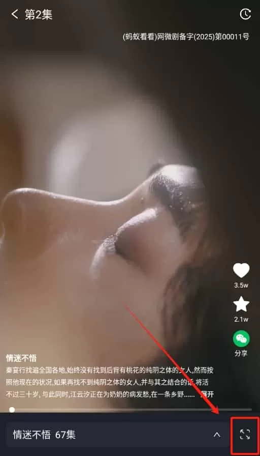 蚂蚁看看