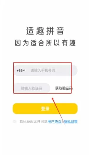 适趣拼音