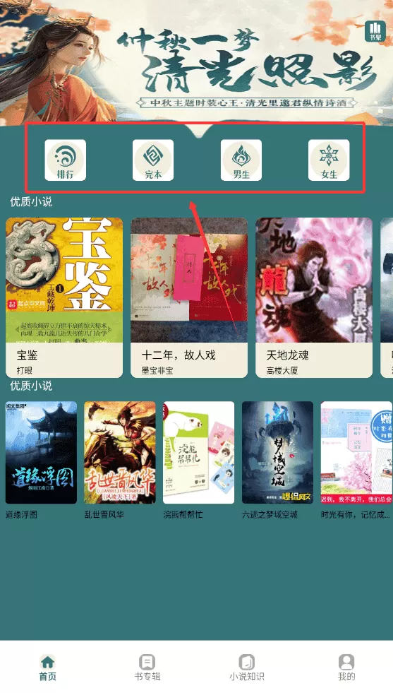 书大师