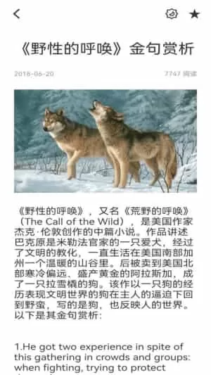 英语4级满分君