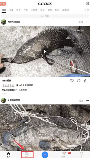 渔获潮汐天气预报