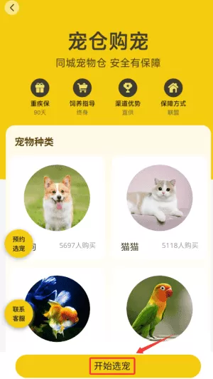 养宠帮