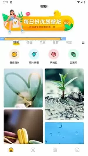 主题壁纸鸭