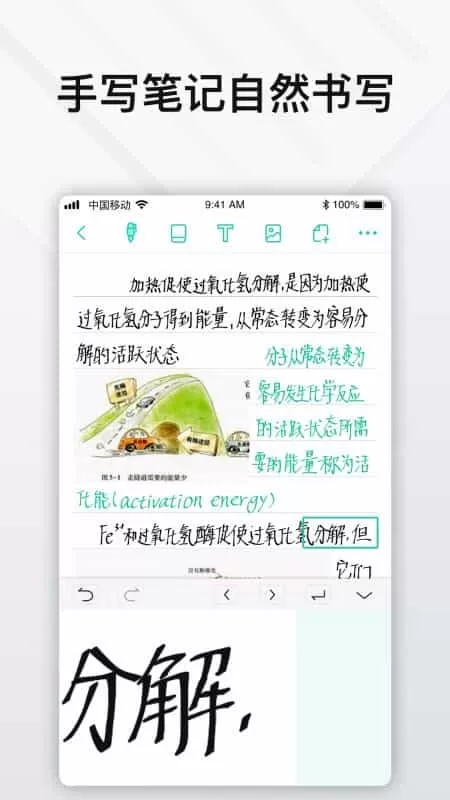 Elfinbook