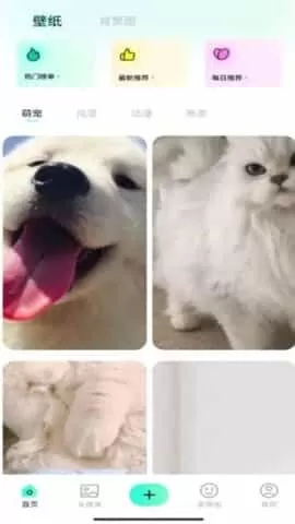 蜜桃壁纸