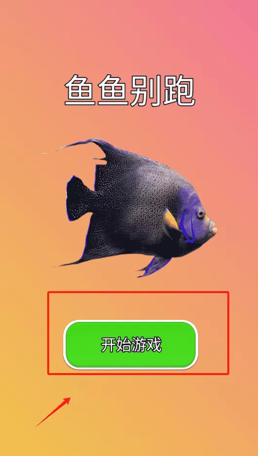 鱼鱼别跑